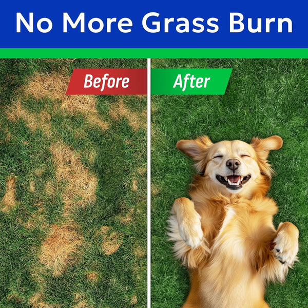 BARK&SPARK Green Grass Dog Chews – Dog Pee Grass & Urine Neutralizer Lawn | Grass Burn Spot Chews with Probiotics & Enzymes, Helps Reduce Lawn Burn from Dog Urine (120 Soft Chews)2