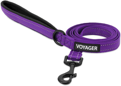 Best Pet Supplies Voyager Nylon Dog Leash - Fuchsia, Small | 5Ft in Length, 5/8" in Width, Reflective, Soft Neoprene Handle, Heavy Duty Metal Clips for Running, Walking & Training17
