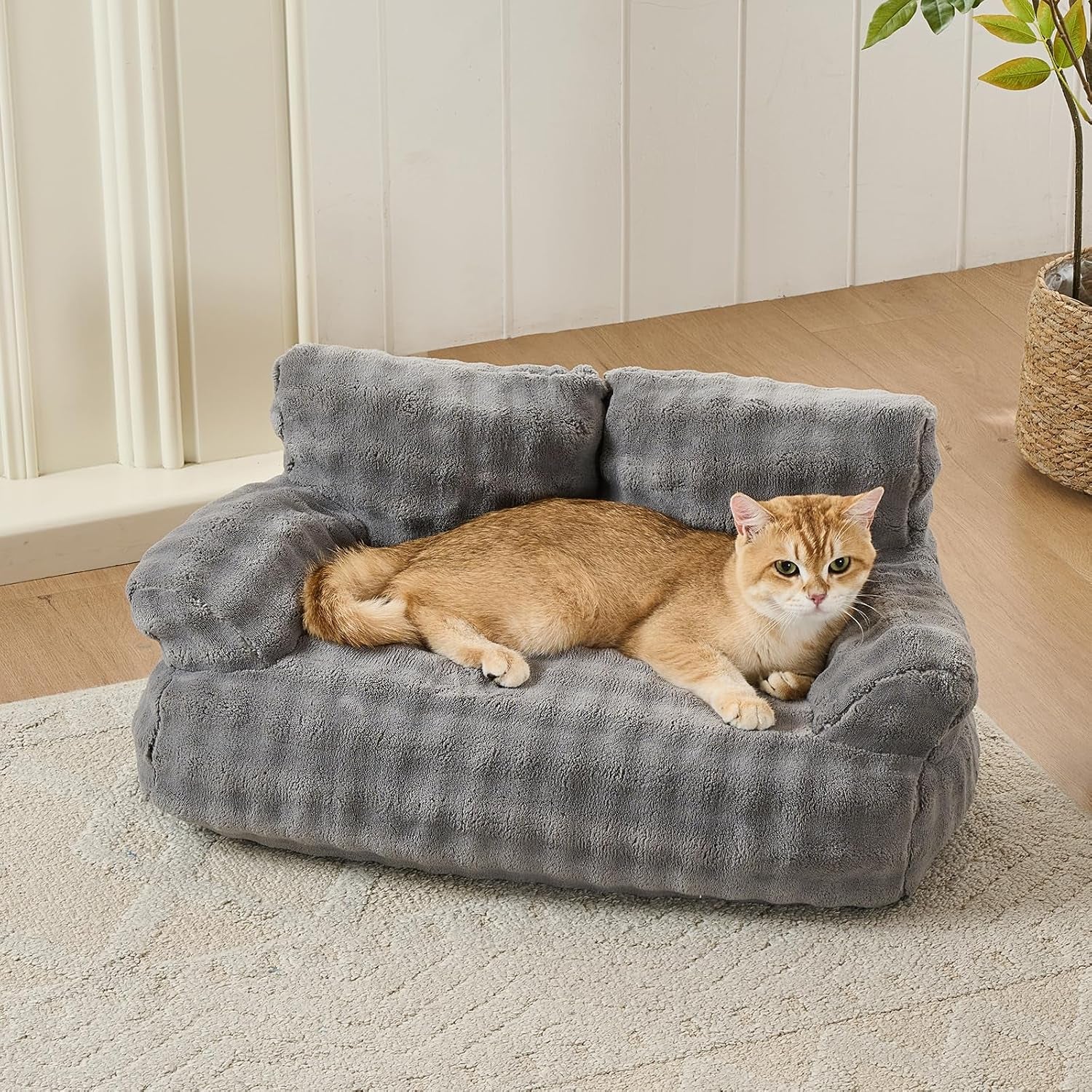 cat-couch-bed-cute-pet-sofa-for-indoor-cats-26x15-grey-soft-pet-couch-for-kittens-puppies-small-dog-sofa-bed-removable-washable-cover