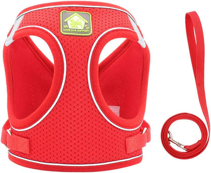 Feimax Dog Harness and Leash Set, No Pull Breathable Soft Mesh Puppy Vest Harness Reflective Adjustable Pet Harnesses for Small Medium Dogs and Cats - Outdoor Easy Control for Walking3