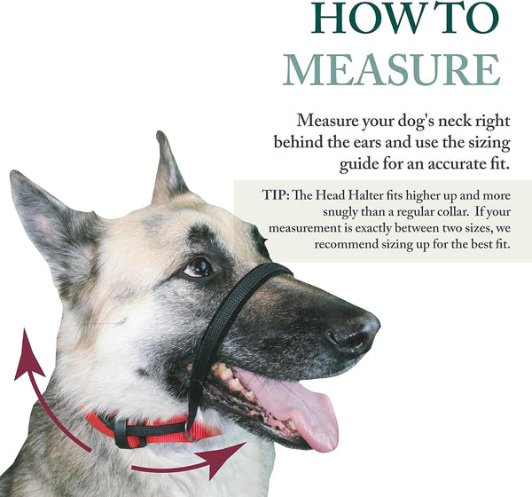 Sporn Head Halter for Dogs, No Pull Dog Harness, Durable Nylon Training Collar for Large Breeds, No Choke Design, Padded Restraints, Adjustable Fit, Easy On/Off, Black, Large4