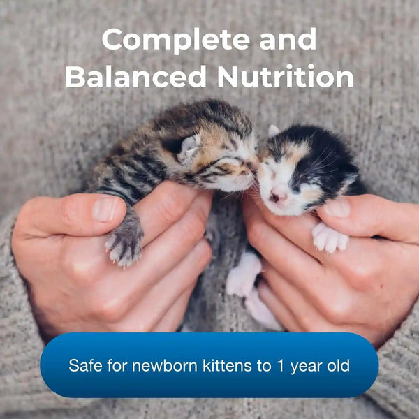 Pet-Ag KMR Kitten Milk Replacer Powder - 12 Oz - Powdered Kitten Formula with Prebiotics, Probiotics & Vitamins for Kittens Newborn to Six Weeks Old - Easy to Digest3