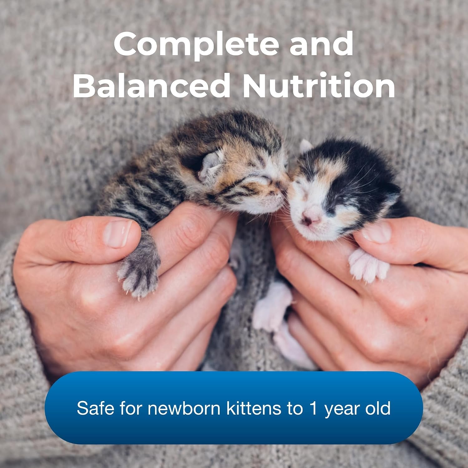 pet-ag-kmr-kitten-milk-replacer-powder-12-oz-powdered-kitten-formula-with-prebiotics-probiotics-vitamins-for-kittens-newborn-to-six-weeks-old-easy-to-digest