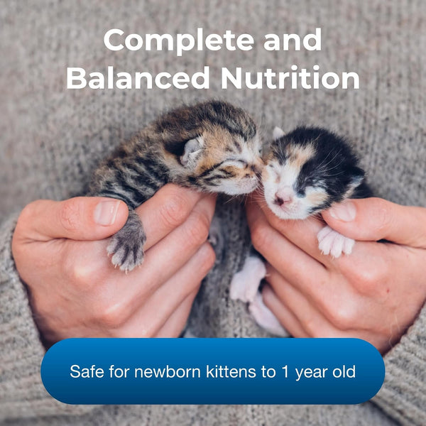 Pet-Ag KMR Kitten Milk Replacer Powder - 12 Oz - Powdered Kitten Formula with Prebiotics, Probiotics & Vitamins for Kittens Newborn to Six Weeks Old - Easy to Digest3
