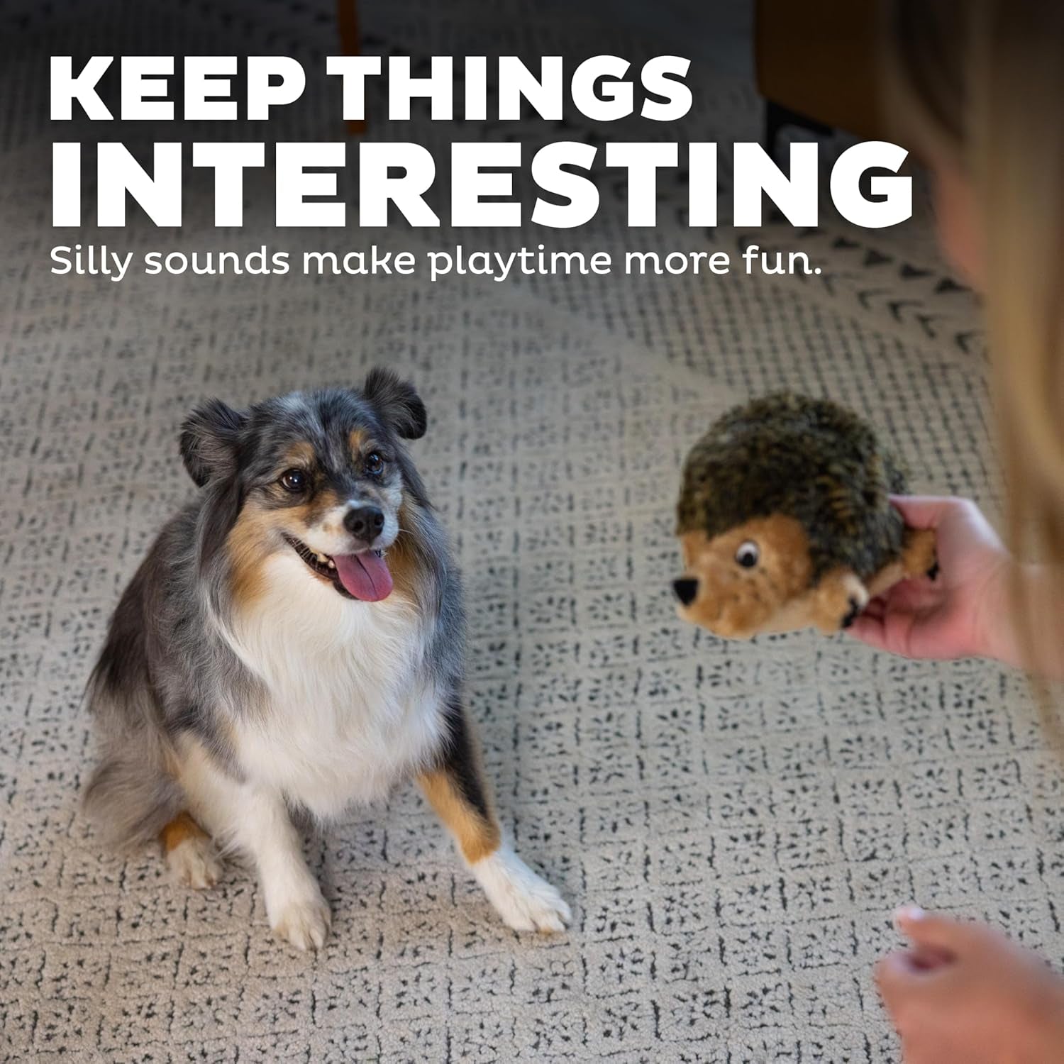 outward-hound-hedgehogz-stuffed-dog-toy-soft-plush-hedgehog-grunts-squeaks-medium-9-x-5-x-6-5