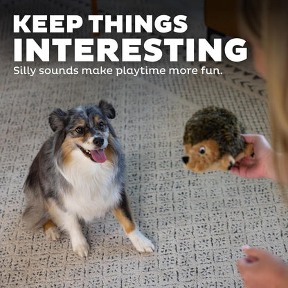 Outward Hound Hedgehogz Stuffed Dog Toy – Soft Plush Hedgehog, Grunts & Squeaks, Medium, 9" X 5" X 6.5"4