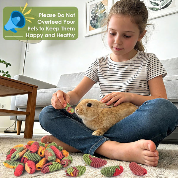 ERKOON Chinchilla Treats, Timothy Grass Chew Toys for Teeth for Rabbit Guinea Pig Gerbil Rat Dwarf Hamster (Large Size-1 Pack)7