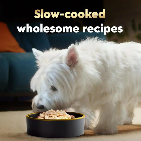 Cesar Wholesome Bowls Wet Dog Food, Chicken Recipe, 3 Oz, 10 Count | Real Chicken #1 Ingredient, Slow-Cooked, 7 Key Ingredients, No By-Products or Artificial Flavors, Easy to Digest3
