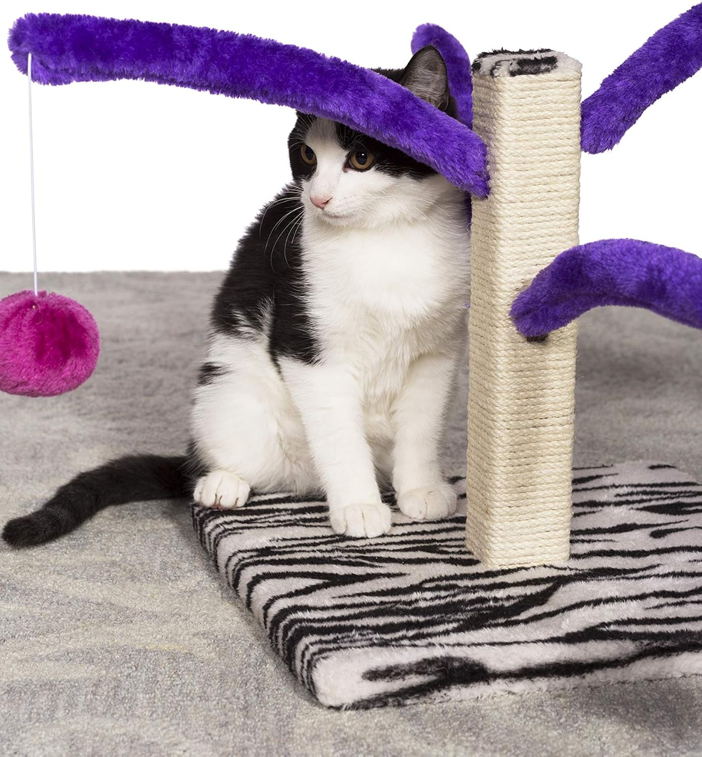 prevue-pet-products-kitty-power-bounce-n-spring-scratcher-furniture-indoor-cat-scratcher-tower-with-toys-vertical-scratch-post-for-small-adult-cats-purple
