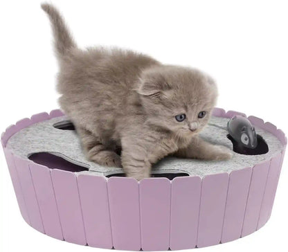 Pawaboo Interactive Cat Toy with Running Mouse, Electronic Motion Cat Toy Automatic Teaser for Indoor Cats, Pop and Play Hide Seek Cat Toys Hunting Mouse for Pet Cat Kitten Play Fun Exercise, Green15