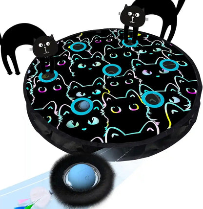 ORSDA Cat Toys, Interactive Fast Rolling Ball in Pouch, Hide and Seek for Indoor Cats, Motion Chirping Activated Moving Ball, 7 Holes Mat Mouse Catching Game1