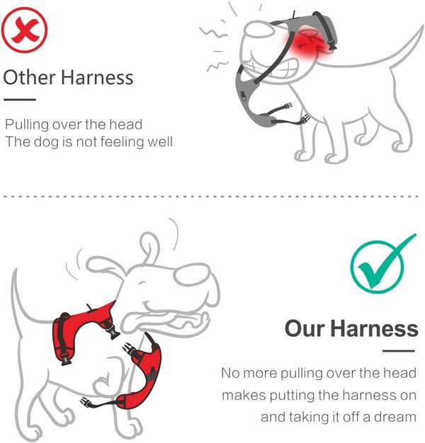 Poypet No Pull Dog Harness with 4 Snap Buckles, Reflective with Front & Back 2 Leash Hooks and an Easy Control Handle [NO Need Go over Dog’S Head](Mint Blue,M)3