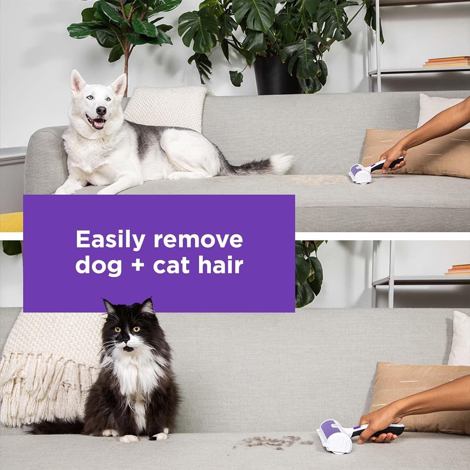 black-decker-pet-hair-remover-roller-remove-dog-hair-and-cat-hair-easily-hmsct0001