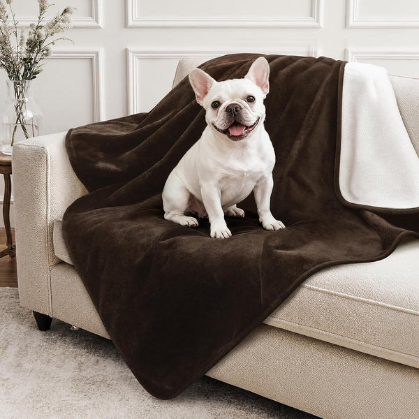 LOOBANI Waterproof Blanket for Bed, Soft Flannel Twin Bed Blanket 60" X 80" | Dog Pet Blankets for Large Dogs, Reversible Spill-Proof Throw for Couch Cover, Movie Time, Camping, Travel, Noise Free, Grey25