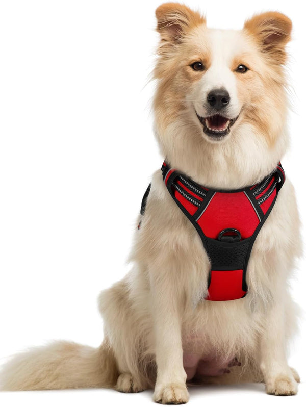 Rabbitgoo Dog Harness, No Pull for Large Dogs with 2 Leash Clips, Pet Vest | No Choke with Handle, Adjustable Soft Padded, Reflective, Easy Control for Walking, Black, Large49
