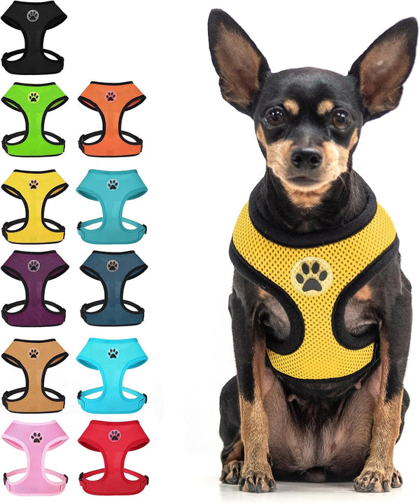 BINGPET Small Dog Harness, No Pull Dog Harness Small Sized Dogs, Soft Light Breathable Mesh Puppy Vest with Safety Buckle-Adjustable Step in Pet Harnesses for Easy Walking, Running, Training19