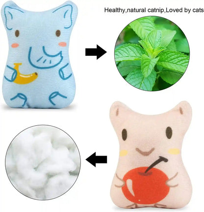 Catnip Toys for Indoor Cats - 5PCS Plush Cat Chew Toys Teething Interactive Catnip Filled Kitten Toy Soft Pet Toy5