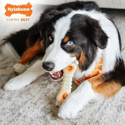 Nylabone Pop-In Treat Toy Chicken Dog Treat Refills, 90 Count | Made with Real Chicken, Fits Any Nylabone Pop-In Treat Toy, All-Natural Dog Treats, Highly Digestible, Limited Ingredients3