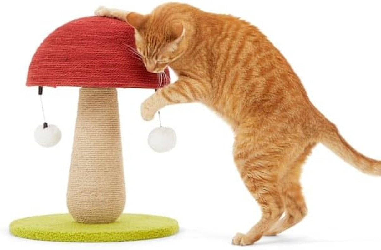 everyyay-by-petco-toadstool-scratch-post-for-cats