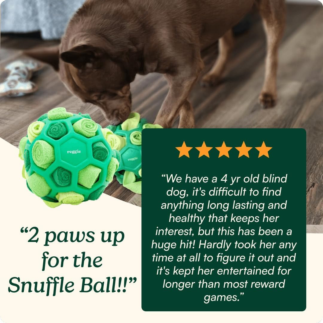 reggie-forager-ball-for-dogs-interactive-treat-dispensing-dog-enrichment-toys-reduces-boredom-stress-hyperactivity-snuffle-toys-for-dogs-durable-washable-dog-puzzle-toy