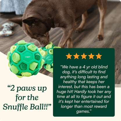 Reggie Forager Ball for Dogs | Interactive Treat Dispensing Dog Enrichment Toys | Reduces Boredom, Stress & Hyperactivity | Snuffle Toys for Dogs | Durable & Washable Dog Puzzle Toy8
