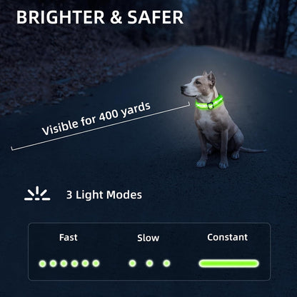 Super Bright LED Dog Collar, Waterproof Light up Collars(Green, Medium) | Lighted Dog Collar with Adjustable Fit, Soft Nylon Comfort, USB-C Rechargeable, Glow in the Dark Visibility for Night Walks5
