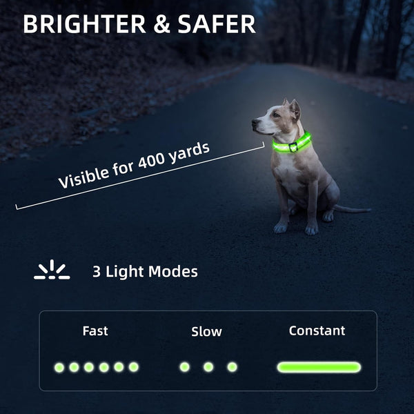 Super Bright LED Dog Collar, Waterproof Light up Collars(Green, Medium) | Lighted Dog Collar with Adjustable Fit, Soft Nylon Comfort, USB-C Rechargeable, Glow in the Dark Visibility for Night Walks5