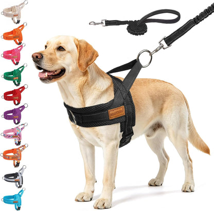 BEAUTYZOO Dog Harness No Pull, Quick Fit Dog Harness and Leash Set, Escape Proof Vest Harness with Soft Handle, Reflective Breathable Mesh Padding Harness for Medium Size Dog Training Walking, Beige M23
