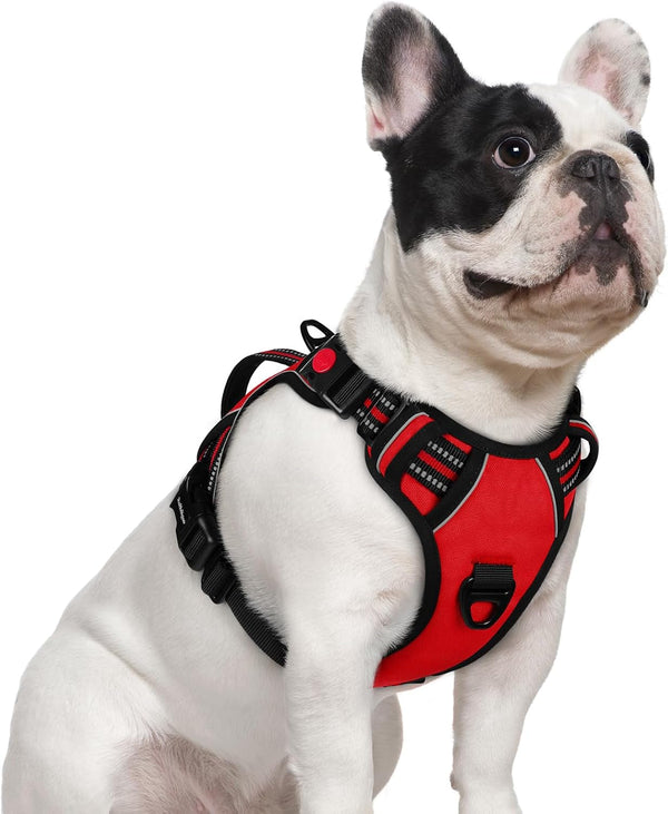 Rabbitgoo Large Dog Harness, Easy Wear with 3 Buckles and Lift Handle | No Pull with Front Clip for Walking, Adjustable Soft Padded, Reflective, Easy Control, Pink, Large21