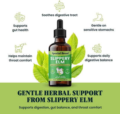 Slippery Elm for Dogs and Cats - Soothing Digestive Relief and Gut Support - Stomach Comfort and Throat Support - Herbal Drops for Pets - Easy to Use - Bacon Flavored - 2 Fl Oz3