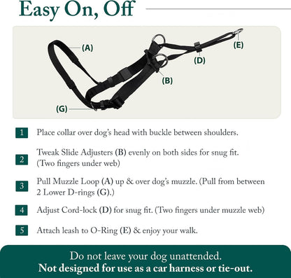 Sporn Head Halter for Dogs, No Pull Dog Harness, Durable Nylon Training Collar for Large Breeds, No Choke Design, Padded Restraints, Adjustable Fit, Easy On/Off, Black, Large6