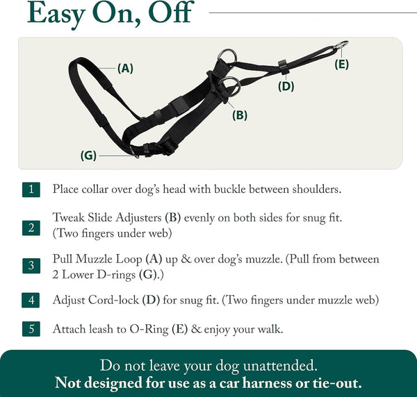 Sporn Head Halter for Dogs, No Pull Dog Harness, Durable Nylon Training Collar for Large Breeds, No Choke Design, Padded Restraints, Adjustable Fit, Easy On/Off, Black, Large6