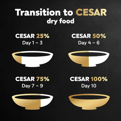 Cesar Small Breed Dry Dog Food, Filet Mignon & Spring Vegetables, 12 Lb | Made in USA, Real Beef #1 Ingredient, 26 Essential Nutrients, Supports Small Breed Health, No Artificial Flavors8