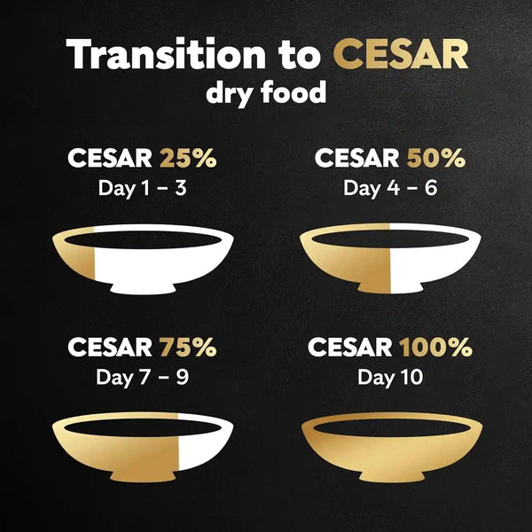 Cesar Small Breed Dry Dog Food, Filet Mignon & Spring Vegetables, 12 Lb | Made in USA, Real Beef #1 Ingredient, 26 Essential Nutrients, Supports Small Breed Health, No Artificial Flavors8