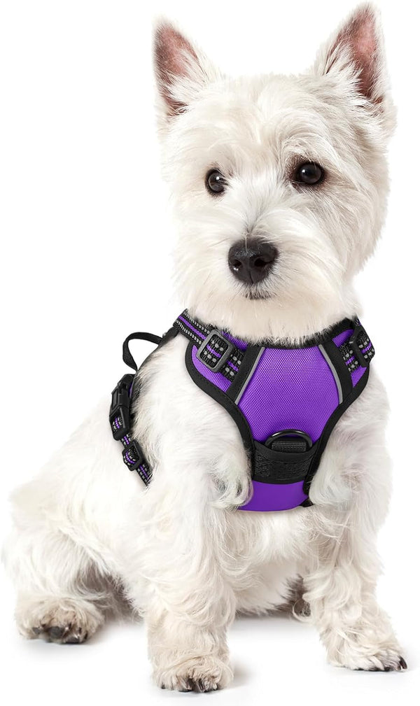 Rabbitgoo Dog Harness, No Pull for Large Dogs with 2 Leash Clips, Pet Vest | No Choke with Handle, Adjustable Soft Padded, Reflective, Easy Control for Walking, Black, Large99