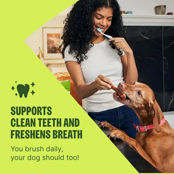 Wellness WHIMZEES Puppy Natural Dog Dental Treat, Chews, Freshens Breath, Extra-Small/Small Size, 7.9 Oz Bag, 30 Count3