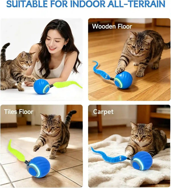 Interactive Cat Toy Ball - Automatic Moving Cat Ball for Indoor Cats with 3 Tails, Rechargeable Silent Kitten Toy for Boredom & Exercise, Rolling Ball Toy with 2 Modes & 2 Speeds.6