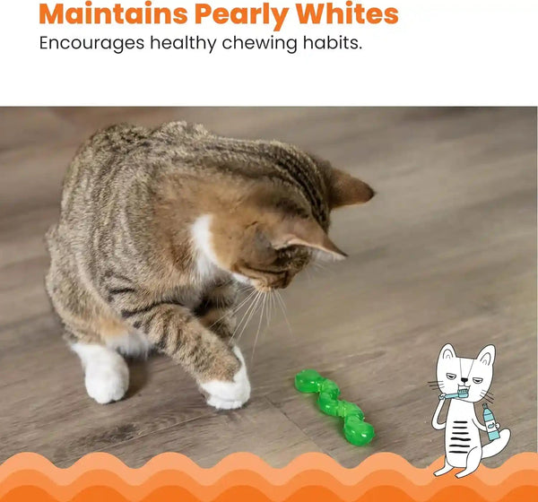 Petstages Orkakat Wiggle Worm Dental Catnip Cat Chew Toy4