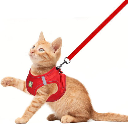 Feimax Dog Harness and Leash Set, No Pull Breathable Soft Mesh Puppy Vest Harness Reflective Adjustable Pet Harnesses for Small Medium Dogs and Cats - Outdoor Easy Control for Walking2