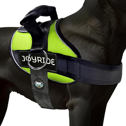 Joyride Dog Harness 2.0 | No-Pull | Blue 2.0 | M | Reflective No-Choke Quick-Fit Vest with 3 Leash Clips and Escape-Resistant Design for Easier Walks and Training18