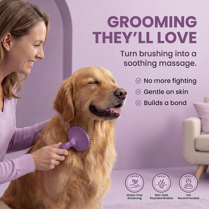 Round Bristle Pet Brush for Dogs and Cats - Soft Dog Brush for Grooming Short or Long Hair - Gentle Tool for Sensitive Skin Removes Dander, Dirt, and Detangles (Purple)3
