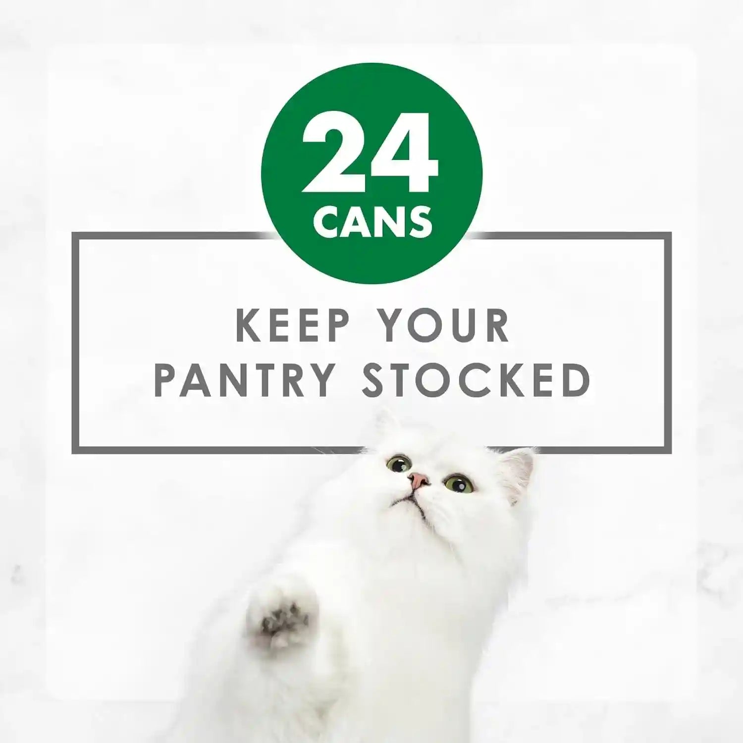 purina-fancy-feast-chunky-chicken-feast-wet-cat-food-pack-of-24-3-oz-cans