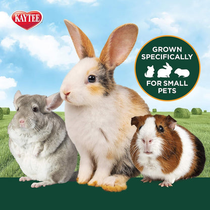 Kaytee Timothy Hay & Orchard Grass for Guinea Pigs, Rabbits & Other Small Animals, 48 Oz3