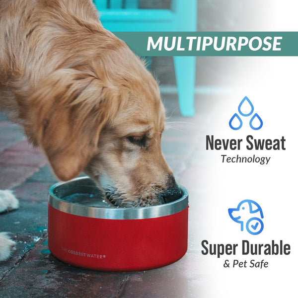 Coldest Dog Bowl - anti Rust Metal, Non Slip, 3 Layers Insulated Stainless Steel Dog Bowls - Spill Proof & Heavy Duty - Water Bowl for Dogs, Cats, Dish Washer Safe (21 Oz, Polished Stainless Steel)7