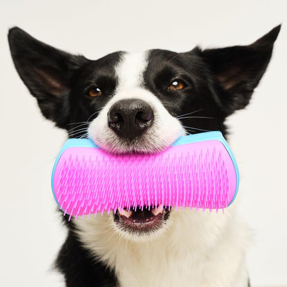Pet Teezer De-Shedding Dog Brush for Long Hair Breeds, Large, Blue & Pink | Dog Grooming Tool with Patented Two-Tier Teeth Reaches the Undercoat for Thick, Double-Coated Dogs & Wet or Dry Fur7