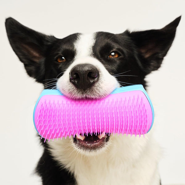 Pet Teezer De-Shedding Dog Brush for Long Hair Breeds, Large, Blue & Pink | Dog Grooming Tool with Patented Two-Tier Teeth Reaches the Undercoat for Thick, Double-Coated Dogs & Wet or Dry Fur7