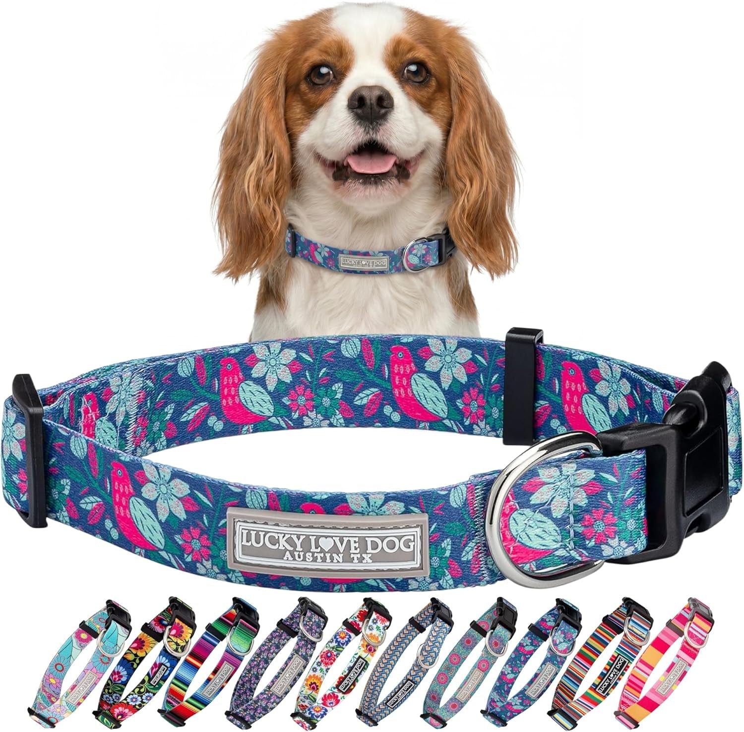 lucky-love-dog-easy-click-buckle-dog-collar-with-leash-set-combo-durable-comfortable-for-male-female-dogs-pet-collar-for-medium-dogs-secure-fit-blackbird-combo-medium