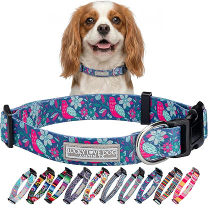 Lucky Love Dog - Easy Click Buckle Dog Collar with Leash Set Combo, Durable & Comfortable for Male & Female Dogs, Pet Collar for Medium Dogs, Secure Fit - Blackbird Combo, Medium97
