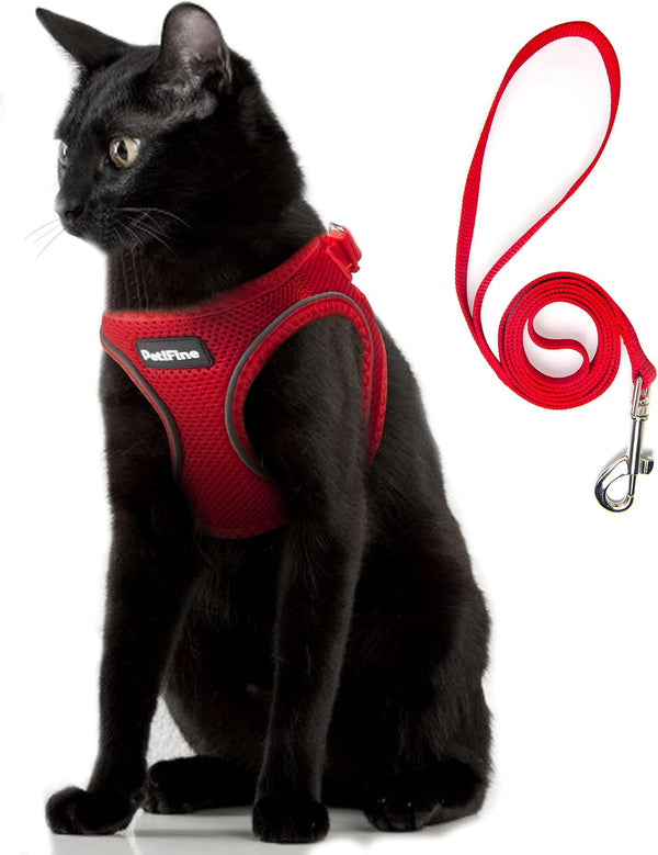 Small Dog Harness and Leash Set Breathable Step-In Puppy Cat Harness,Xs | Reflective for Safe Easy Walking,Soft Light Puppy Vest,Escape Proof,No Pull Harness for Dogs,All Weather Air Mesh Harness21