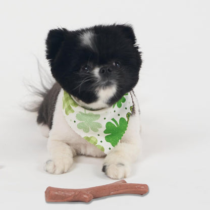 SPOT Bam-Bones plus Branch -Bamboo Fiber & Nylon, Durable Long Lasting Dog Chew for Aggressive Chewers – Great Toy for Adult Dogs & Teething Puppies under 60Lbs, Non-Splintering, 5.75In, Beef Flavor12